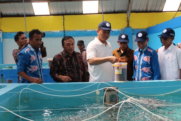 KKP Jadikan Meranti Pusat Kawasan Budidaya Kakap Putih Nasional