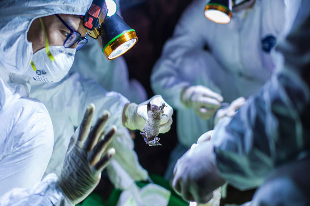Pentolan Peneliti Ebola-SARS Desak WHO dan AS Masuk ke China