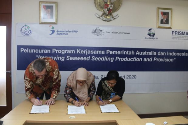 KKP Gandeng Australia Tingkatkan Produktivitas Rumput Laut Nasional