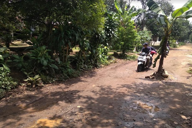 18 Tahun Jalan Rusak Tak Diperbaiki, Warga Serang Tanam Pohon Pisang