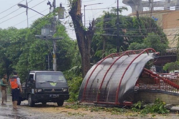 Pohon Tumbang Timpa Halte Bus BST, Dua Pelajar yang Berteduh Terluka