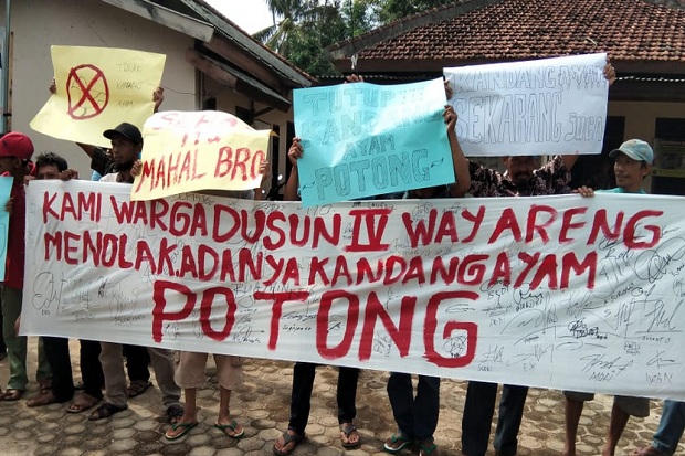 Warga Lampung Timur Desak Pemerintah Tutup Kandang Ayam di Permukiman