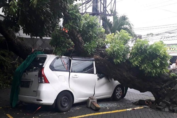 Hujan Badai Terjang Sleman, Banyak Pohon Tumbang Timpa Rumah dan Mobil
