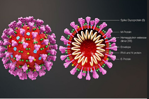 Obat Infeksi Covid-19 Masih Sulit Ditemukan, Ini Kata Para Ilmuwan