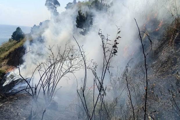 Kawasan Hutan dan Lahan di Sigumoi Sumut Terbakar