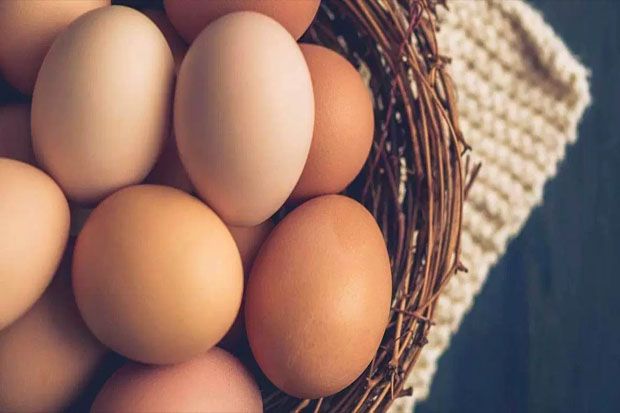 5 Bahan Makanan Penuh Gizi Pengganti Telur