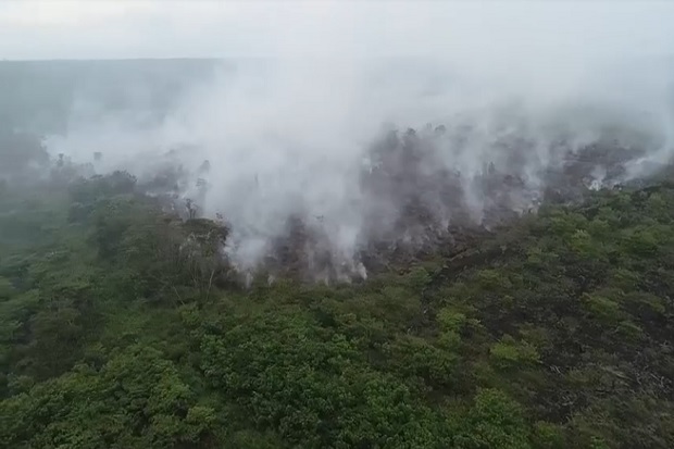 20 Hektare Lahan Gambut di Nagan Raya Aceh Terbakar