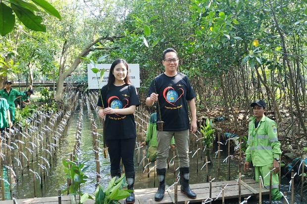 Lindungi Pesisir, MNC Leasing Gandeng MNC Peduli Tanam 1.000 Mangrove di PIK