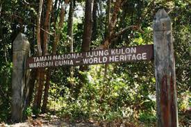 Corona Mewabah, Seluruh Wisata di Taman Nasional Ujung Kulon Ditutup