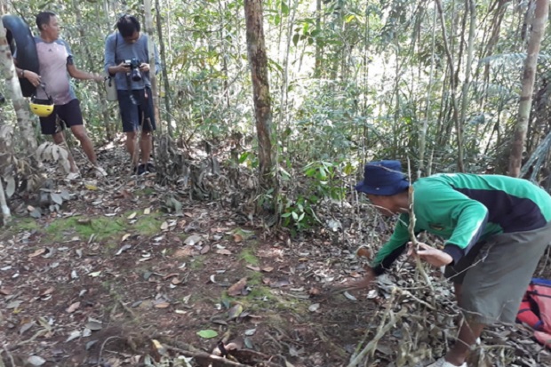 Jejak Operasi Pasukan Para Komando di Pedalaman Hutan Kalimantan