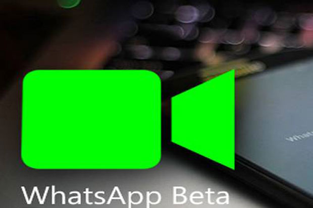 Imbas Cocid-19, WhatsApp Batasi Status Video Jadi 15 Detik
