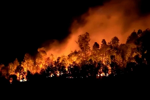 Kebakaran Dahsyat Landa Hutan China, 19 Orang Tewas