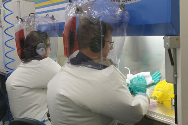 Dikejar Waktu, Ilmuwan Australia Uji Praklinis Vaksin Virus Corona