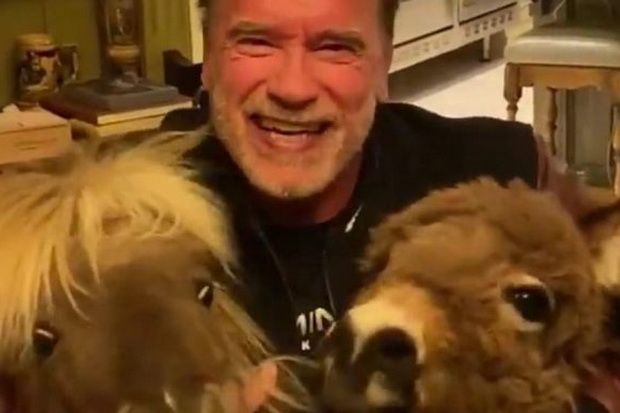 Bantu Perangi Corona, Arnold Schwarzenegger Sumbang APD Senilai USD1 Juta