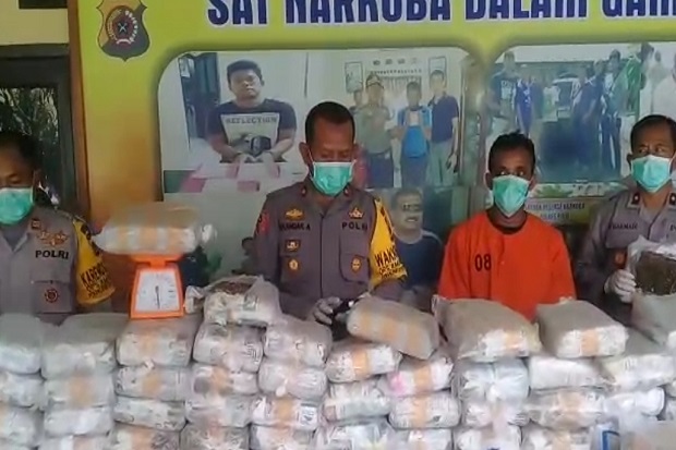 Polisi Amankan 240 Bal Ganja Kering di Aceh