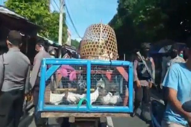 Pasar Burung di Mataram NTB Dibubarkan Polisi, 1 Orang Ditangkap