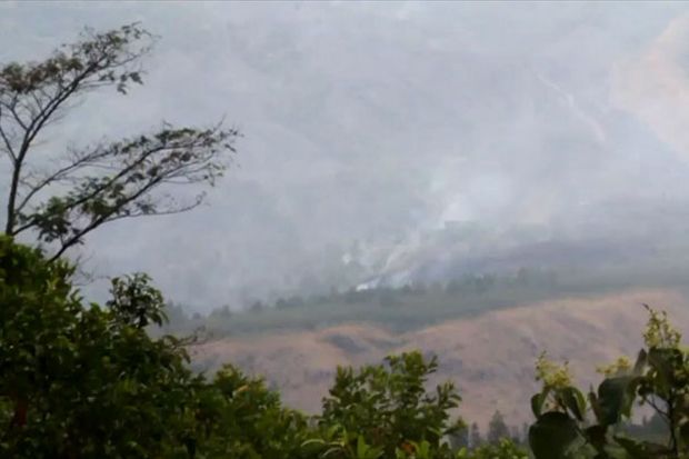 50 Hektare Lahan Hutan di Gunung Ciremai Terbakar