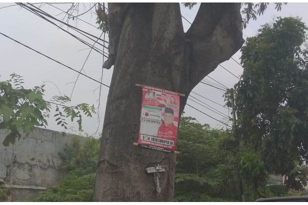 Poster Caleg Dipasang di Pohon, Ini Sikap KPU dan Bawaslu Karawang