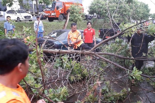 Hujan Angin, 2 Mobil di Kompleks Pemda KBB Rusak Tertimpa Pohon
