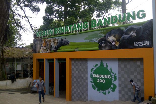 Imlek, Atraksi Barongsai Hibur Pengunjung Bandung Zoo