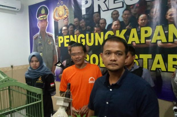 Tanam Ganja di Pekarangan Rumah, Pengangguran Ini Dibekuk Polisi