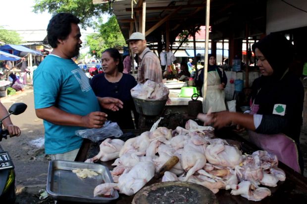 Jelang Ramadan, Harga Daging Ayam Merangkak Naik