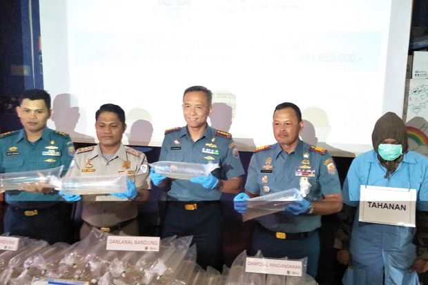 TNI AL dan BKIPM Gagalkan Penyelundupan Benih Lobster Senilai Rp5 M