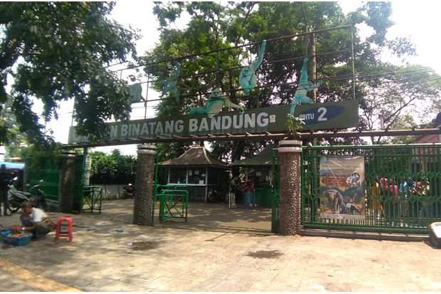Gratis Naik Gajah dan Unta di Bandung Zoo Selama Ramadhan
