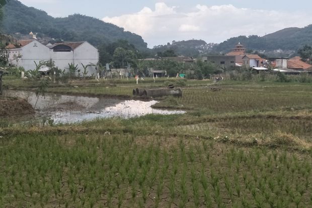 Lahan Pertanian Terbatas, Pemkot Cimahi Genjot Sosialisasikan Metode Hidroponik