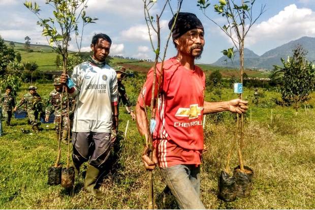 Berdayakan Lahan Kritis, Pemprov Jabar Akan Terapkan Agroforestry
