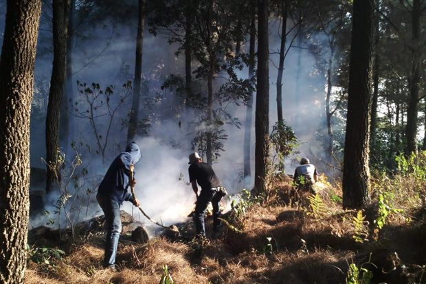 Berbekal Belencong, Anggota MPGC Berhasil Menyekat Api di Ciremai