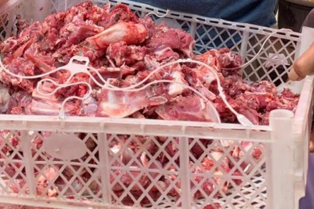Cara Menyimpan Daging Kurban agar Tahan Lama dan Tetap Segar