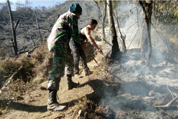 Lahan di Gunung Ciremai Terbakar, Kodam Siliwangi Turunkan Pasukan