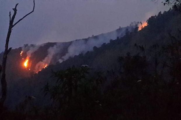 26 Hektare Hutan di Gunung Malabar Terbakar