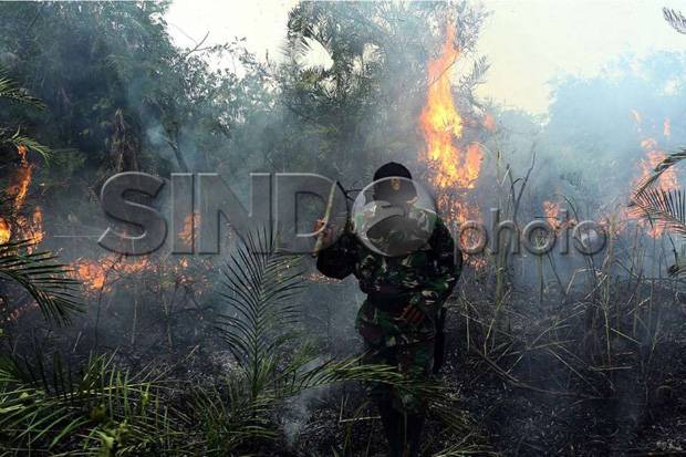 Cuaca Sangat Terik, Hutan di Lereng Gunung Papandayan Terbakar