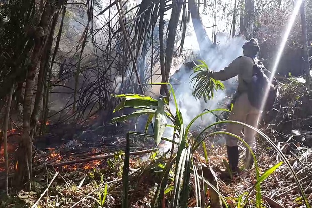 Kebakaran Hutan Gunung Ciremai Meluas, Areal Terbakar Capai 100 Hektare