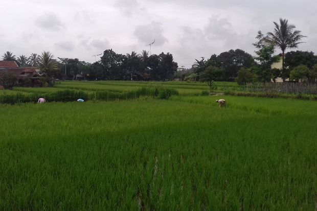 Sukabumi Lebih Adem, Suhu Udara 21-25 Derajat Celsius