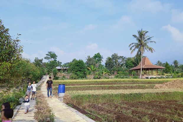 Bogor dan Sukabumi Hujan, Suhu Udara Maksimum 32 Derajat Celsius