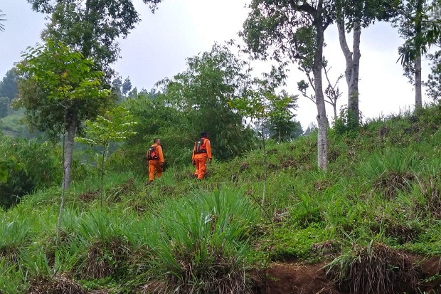 Ikut Kakek Cari Kayu Bakar, Remaja Cianjur Hilang di Hutan Rawa Buruy