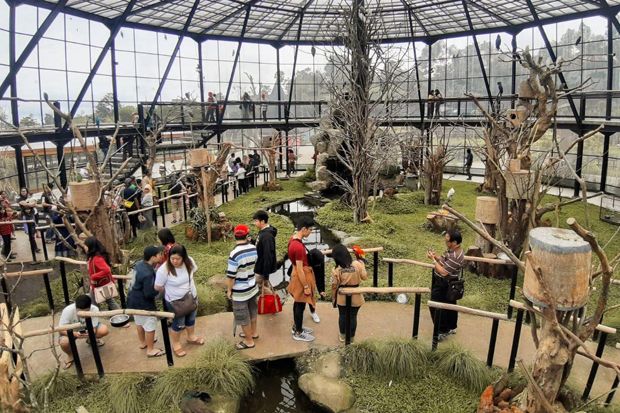 Selama Libur Nataru, Ribuan Wisatawan Kunjungi Lembang Park and Zoo