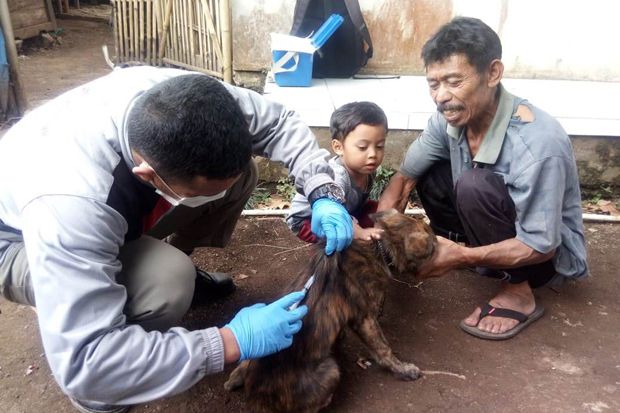 Warga Bandung Barat Diminta Waspadai Serangan Anjing Liar