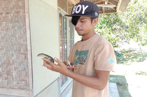 Pemuda Pangandaran Ini Raup Uang Jutaan Rupiah dari Beternak Biawak