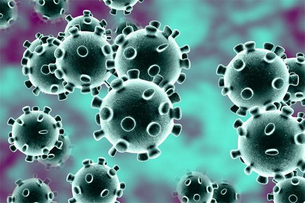 Mitos dan Fakta tentang Virus Corona