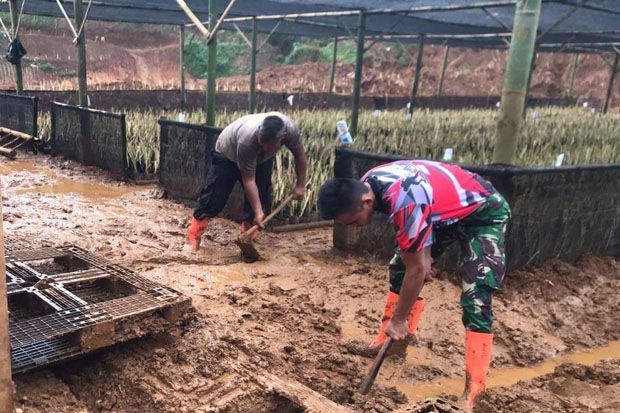 141.218 Akar Wangi untuk Cegah Longsor di Sukajaya Kabupaten Bogor