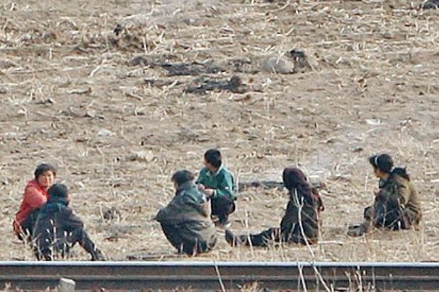 Korea Utara Kehabisan Makanan, Bencana Kelaparan Mengancam