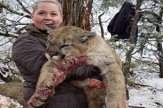 Bunuh Singa Gunung, Pemburu AS Ini Picu Kemarahan Publik