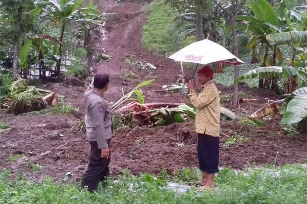 Bencana di Karanganyar, Warga Grogol Tewas Tertimpa Pohon Tumbang