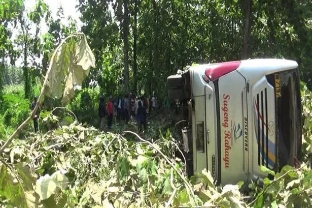 Bus Surabaya-Yogya ini Nyelonong ke Hutan Jati, 14 Orang Terluka