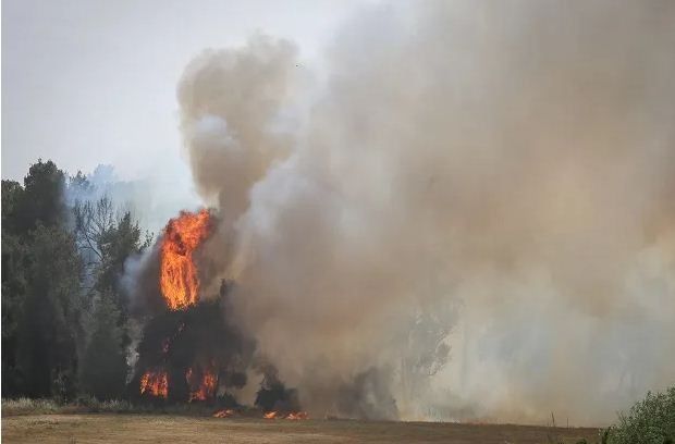 Dilanda Kebakaran Hebat, Israel Kalang Kabut