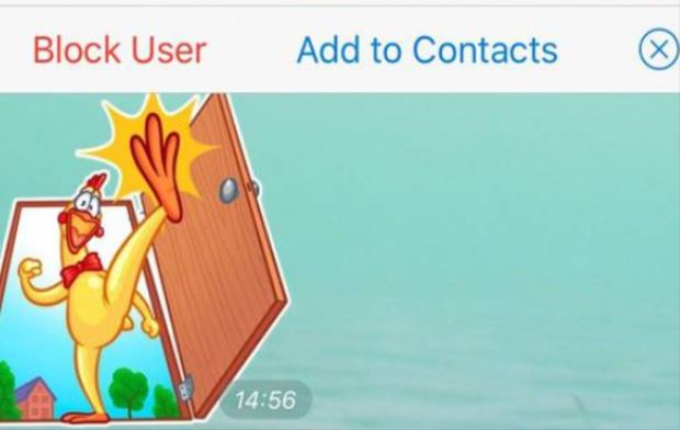 Telegram Punya Fitur Obrolan Orang Terdekat setelah Update